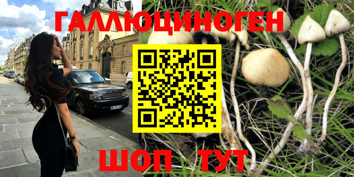 Псилоцибиновые грибы мицелий  Вход с VPN  Кимры 