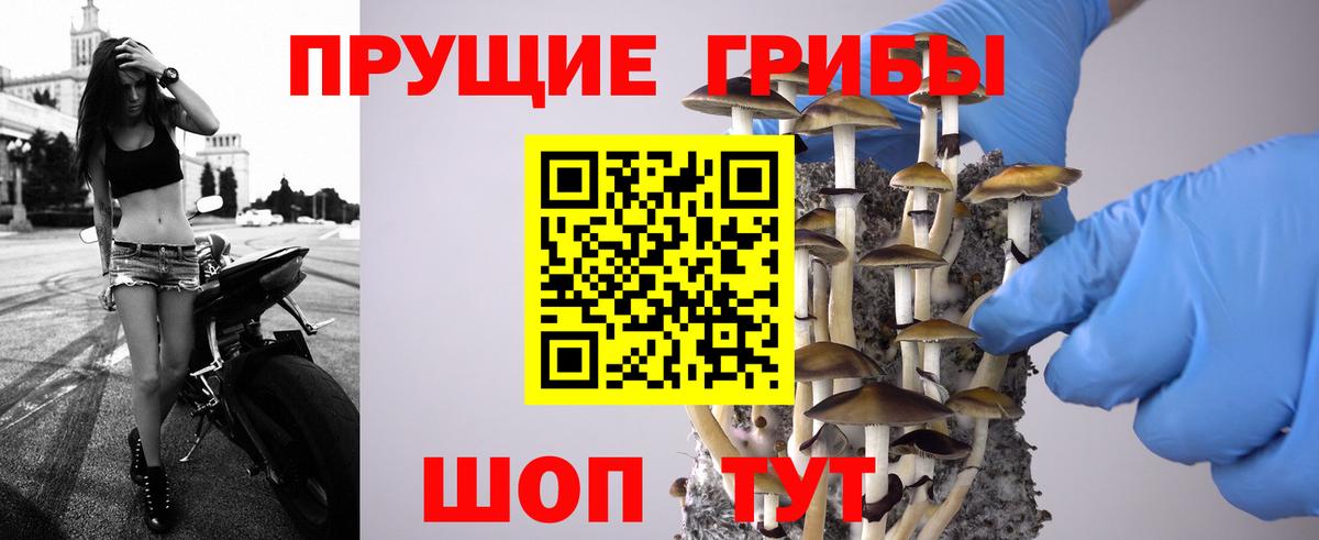 Гашиш Кимры